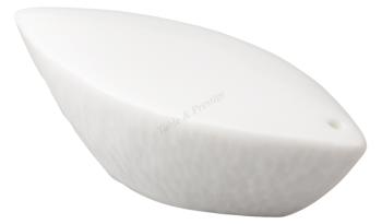 Salt shaker - Raynaud